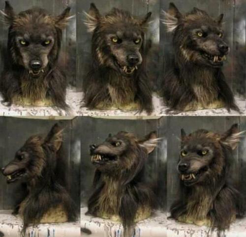 Realistic Wolf Mask Costume Headpiece